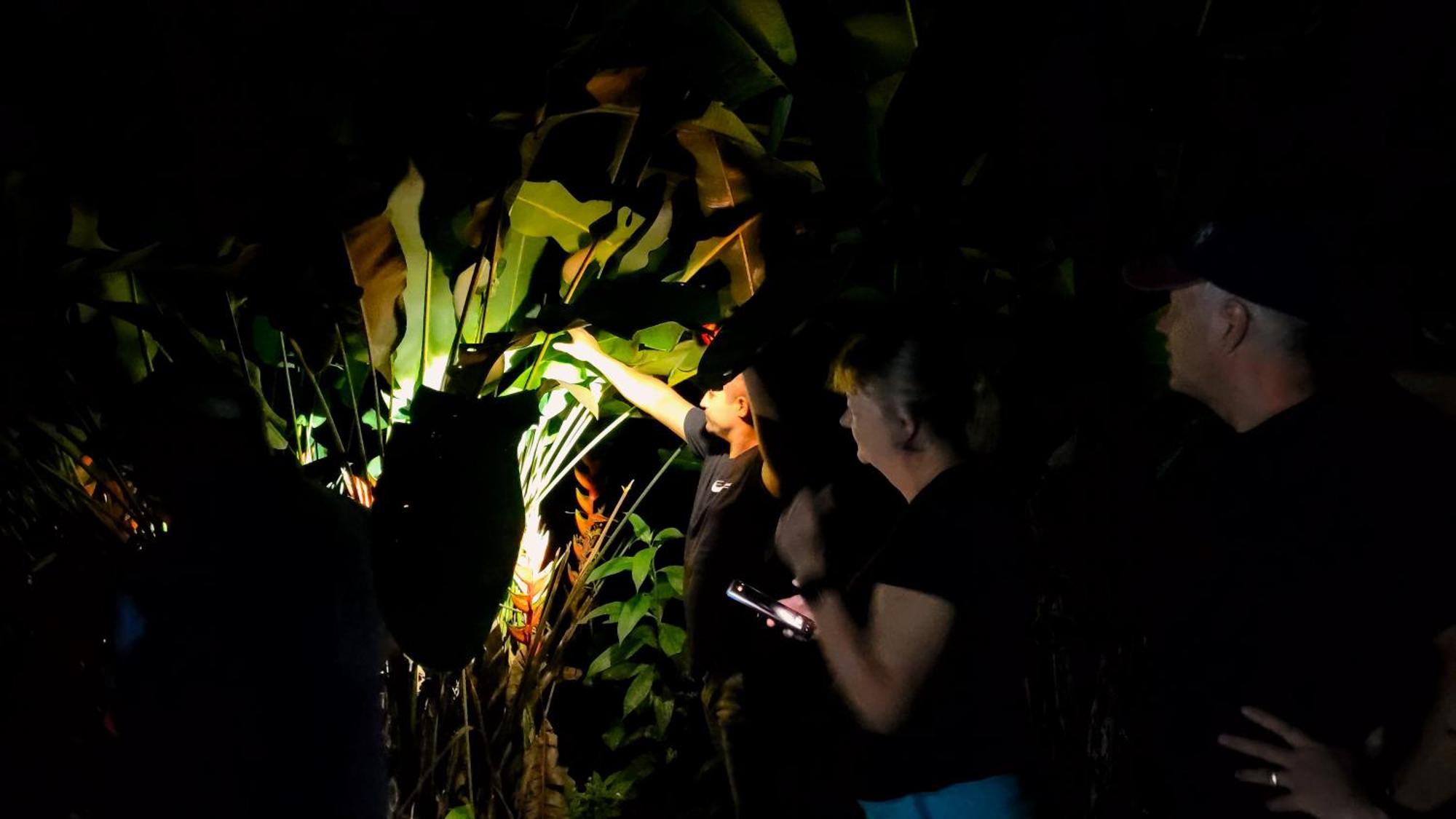 Chalets Silencio Del Bosque La Fortuna ภายนอก รูปภาพ